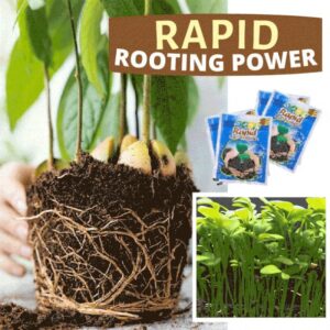 Rapid Rooting Powder