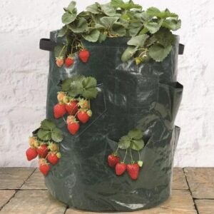 8 Pockets Potato Strawberry Planter Balcony Strawberry Planting Bag Herbs Vegetables Garden