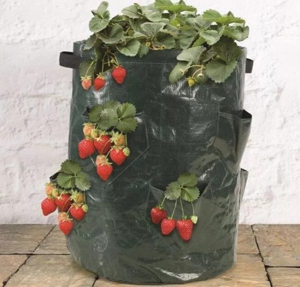 8 Pockets Potato Strawberry Planter Balcony Strawberry Planting Bag Herbs Vegetables Garden