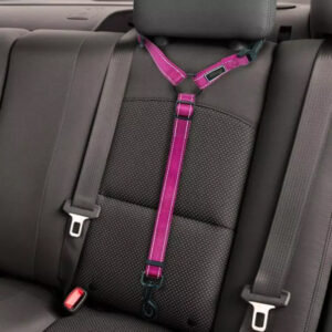 2021 Must-Have Dog Car Seat Belt