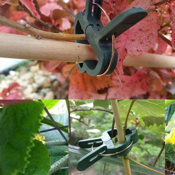 (Last Day 50% OFF) Multi-Purpose Weatherproof Garden Clips