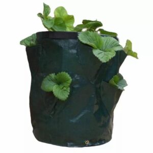 8 Pockets Potato Strawberry Planter Balcony Strawberry Planting Bag Herbs Vegetables Garden