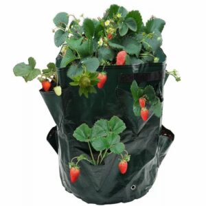 8 Pockets Potato Strawberry Planter Balcony Strawberry Planting Bag Herbs Vegetables Garden