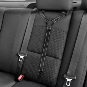 2021 Must-Have Dog Car Seat Belt