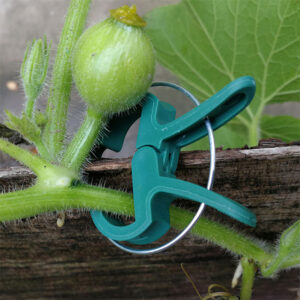 (Last Day 50% OFF) Multi-Purpose Weatherproof Garden Clips