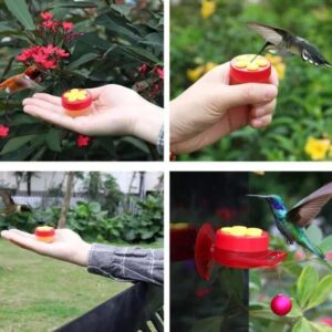 (🔥Summer Hot Sale - Save 50% OFF) Handheld Hummingbird Feeder