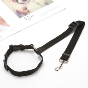 2021 Must-Have Dog Car Seat Belt