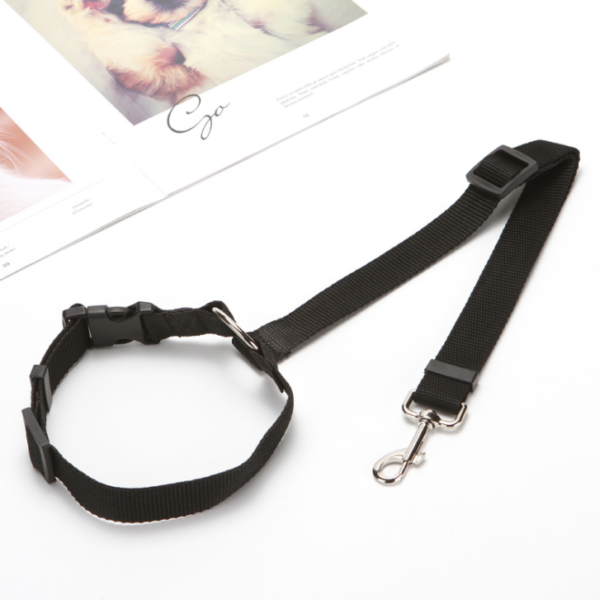 2020 Must-Have Dog Car Seat Belt