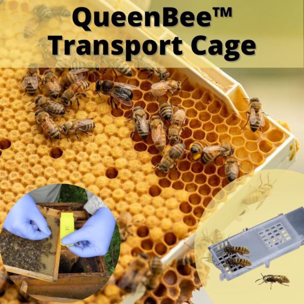 [PROMO 30% OFF] QueenBee™ Transport Cage - Image 6