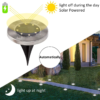 15 LED Solar Ground Lights(Made in America)