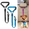 2021 Must-Have Dog Car Seat Belt