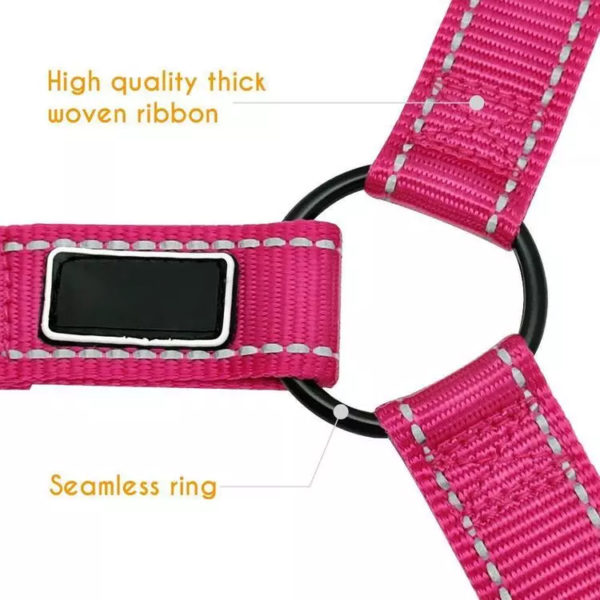 2021 Must-Have Dog Car Seat Belt