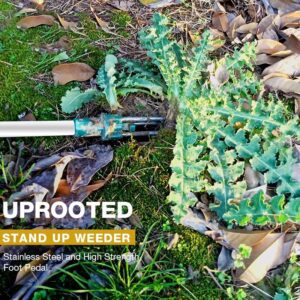 ⚡Buy 2 Save 10%OFF Standing Plant Root Remover