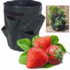 8 Pockets Potato Strawberry Planter Balcony Strawberry Planting Bag Herbs Vegetables Garden