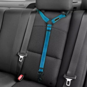 2021 Must-Have Dog Car Seat Belt