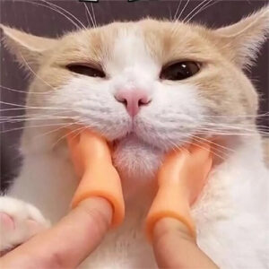 Funny Little Finger Latex Gloves Cat Massage Tool Toy