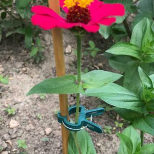 💥 Hot Sale 50% OFF💥 Reusable Garden Flower Lever Loop Gripper Clips