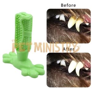 (❤️Clearance Sale: Buy 2 Get Extra 10% OFF) Dog Toothbrush