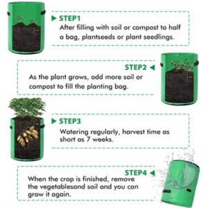 (Spring Hot Sale-Save 50% OFF) Strawberry Planting Bag