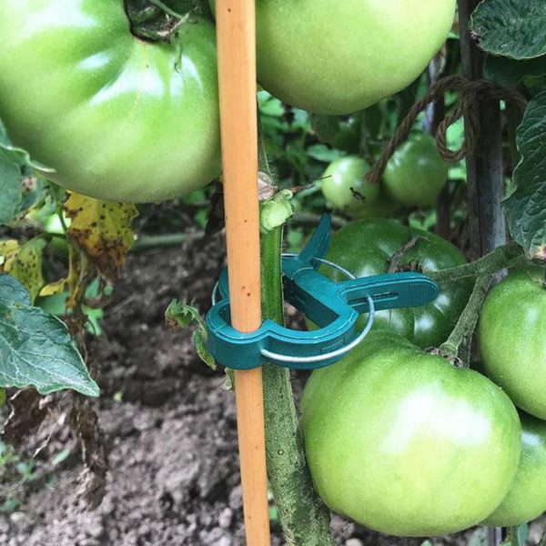 💥 Hot Sale 50% OFF💥 Reusable Garden Flower Lever Loop Gripper Clips