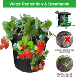 (Spring Hot Sale-Save 50% OFF) Strawberry Planting Bag