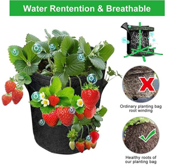 (Spring Hot Sale-Save 50% OFF) Strawberry Planting Bag