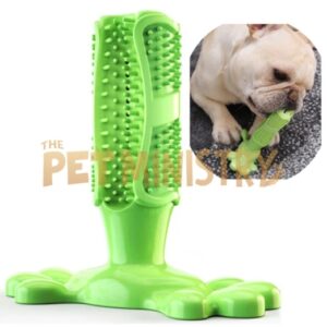 (❤️Clearance Sale: Buy 2 Get Extra 10% OFF) Dog Toothbrush