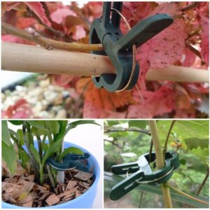 💥 Hot Sale 50% OFF💥 Reusable Garden Flower Lever Loop Gripper Clips