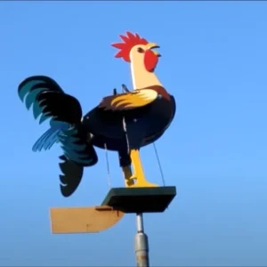 2021 Best Garden Decor💥The live rooster windmills