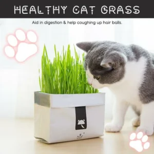 Vetreska™ DIY Self Grow Cat Grass