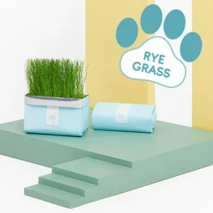 Vetreska™ DIY Self Grow Cat Grass