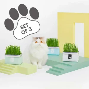 Vetreska™ DIY Self Grow Cat Grass