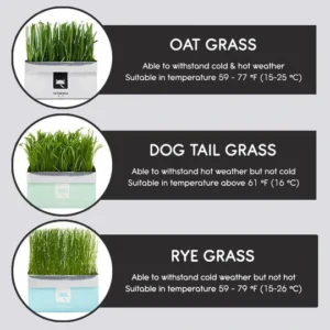 Vetreska™ DIY Self Grow Cat Grass