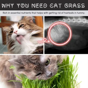 Vetreska™ DIY Self Grow Cat Grass