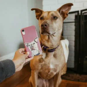 Custom Pet Phone Case (Snap Case)