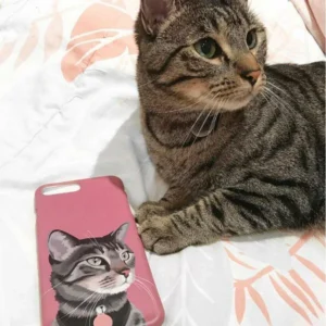 Custom Pet Phone Case (Snap Case)