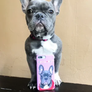 Custom Pet Phone Case (Snap Case)