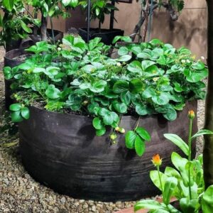 (🔥Hot Summer Sale - 50% OFF) Garden Raised Planting Bed