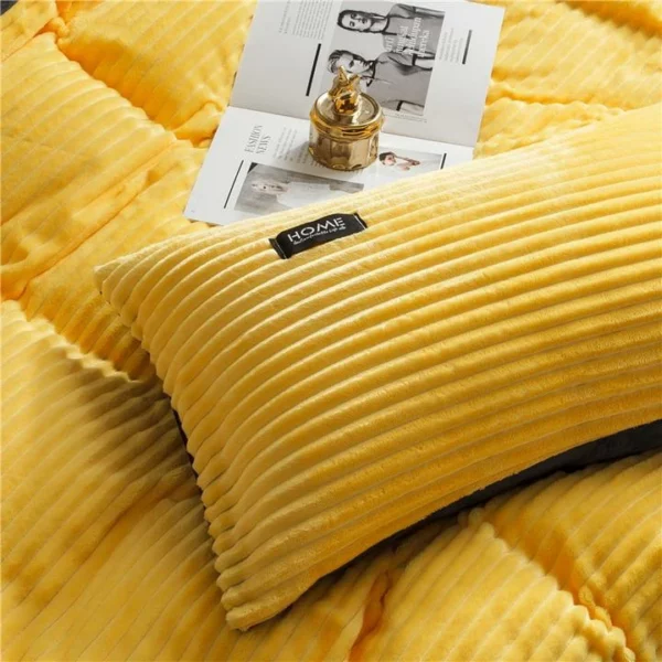 3 Pcs AB Sided Thicken Corduroy Velvet Winter Bedding Set Full Queen King Size Duvet Cover