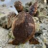 Hawaiian Turtle Wood Carving--Made in Hawaii