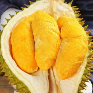 Fresh: Thai golden pillow durian (organic fruit) 2 durians