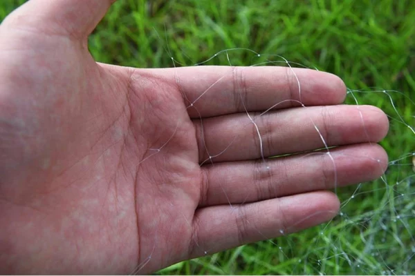 Eruptive Fish Hook Net