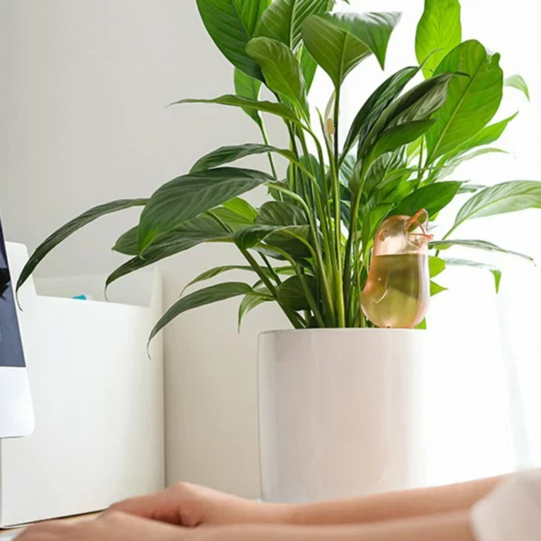 🎅(Christmas Early Sale - Save 40% OFF) Bird Shape Watering