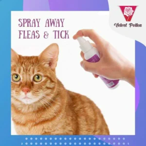 FurGuard Tick & Flea Relief Spray