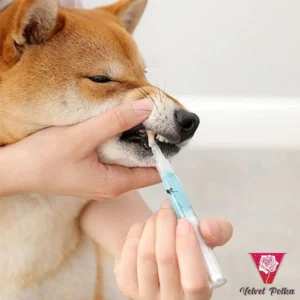 Pet Teeth Repairing Kit