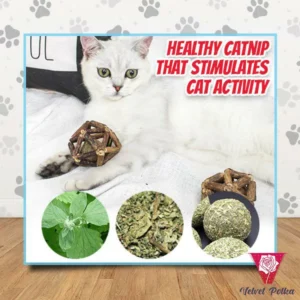 [PROMO 30%] Catnip Exquisite Ball