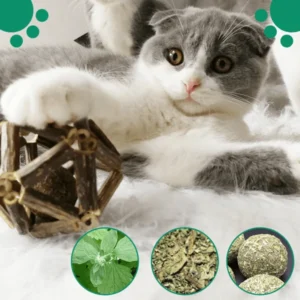 [PROMO 30%] Catnip Exquisite Ball