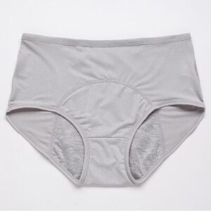 🔥【Buy 3 Get 2 Free】HIGH WAIST LEAK PROOF PANTIES