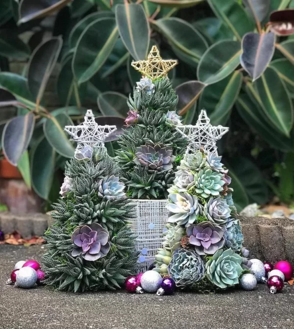 Succulent Christmas Tree🎄