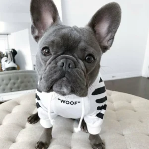 ‘WOOF’ Trendy Dog Hoodie